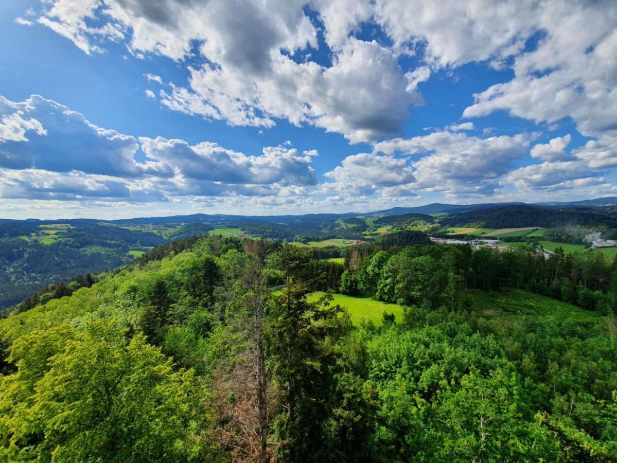 Haus Bergblick Appartement Mauth Buitenkant foto