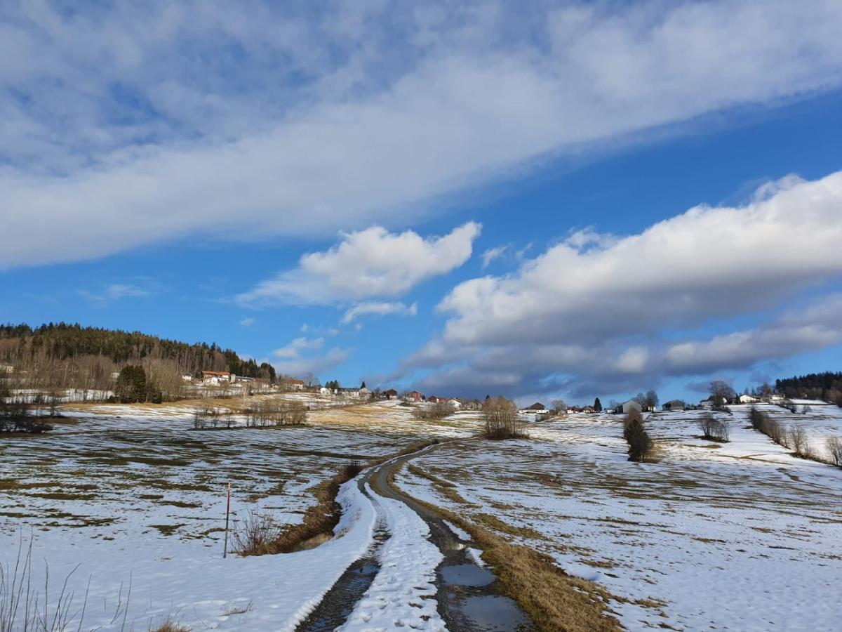 Haus Bergblick Appartement Mauth Buitenkant foto